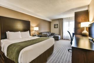 Comfort Inn - Windsor - 6