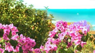 Adria Arba Apartments - 7
