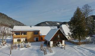 Ferienwohnungen Orth - Lassing - 7