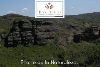 Raíces Ongamira - Ongamira - 6