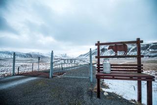 Eiði Farmhouse - Grundarfjordur - 0