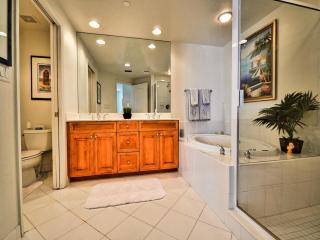 Mandalay Beach Club 1003 - Clearwater Beach - 2