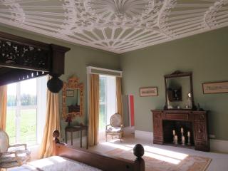 Ash Hill B & B - Kilmallock - 6