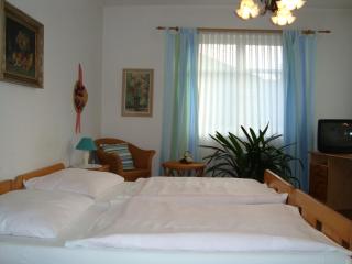 Villa Olivia - Praga - 5
