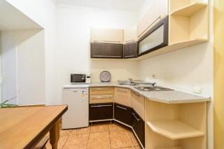 Apartment at Malaya Zhytomyrska 5 - Kiev - 2