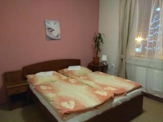 Hotel Lidový dům - Nový Hrozenkov - 6