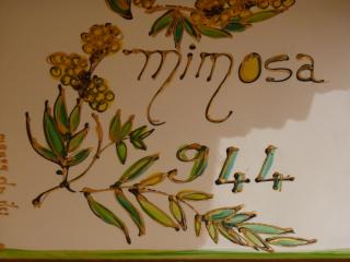 Studio Mimosa - Saint-François - 6