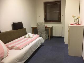 Single Room in Warmbad - Villach - 1