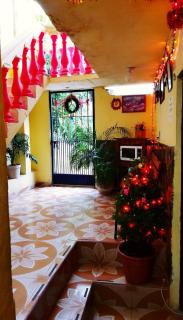 Hotel Economico - Xilitla - 7