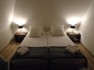 Hotel de Vriezerbrug - Tynaarlo - 5