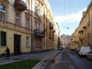Квартира вул Кониського 5 - на 6 осіб в центрі Медінститут поруч - Lviv - 4
