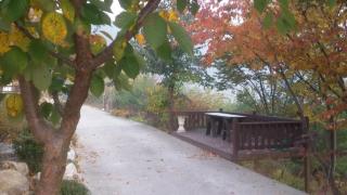 Oraview Pension - Jeongseon - 5