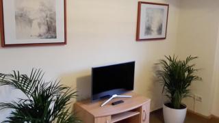 Villa Goldbrunnen Ferienwohnung 3 - Bad Elster - 2