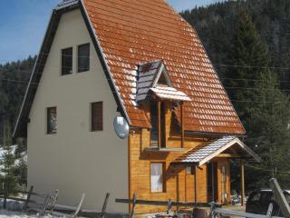 Apartment Vila Fila - Mitrovac - 2