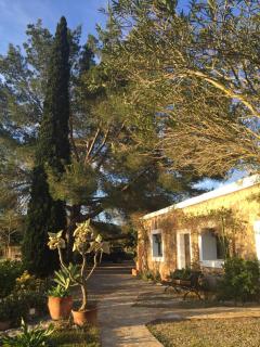 encantadora casa ibicenca - Sant Josep de sa Talaia - 3
