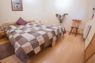 Ferienhaus-Pressler-Erfurt - Erfurt - 4