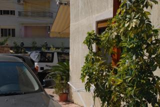 Olive Tree - Saranda - 2