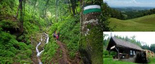 Hopfenhof Poscharnik - 1