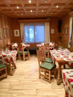 Hotel Alpina - Zernez - 2