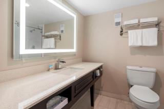 Palazzo Lakeside Hotel - Kissimmee - 2