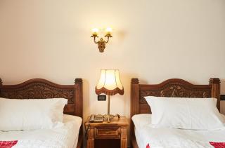 Brilant Antik Hotel - Tirana - 8