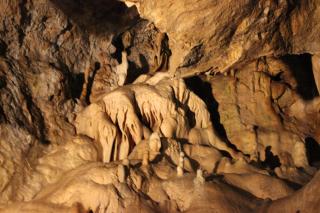 Ubytování U Morisse - 5