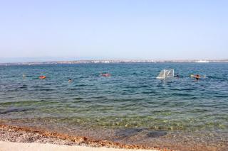 Family friendly seaside apartments Preko, Ugljan - 8232 - 5
