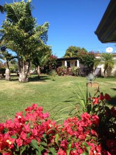 Le bungalow des bougainvilliers - Ducos - 0