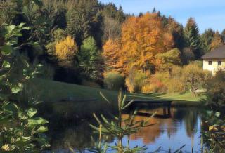 Naturoase Mühlviertel - Sankt Johann am Wimberg - 9