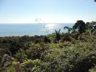 Ranchos Remo Lodge - Uvita - 1