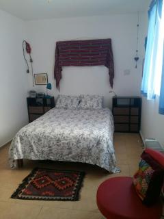 Cozy & Full Apt in Coyoacan Great for Long Stays - Città del Messico - 1