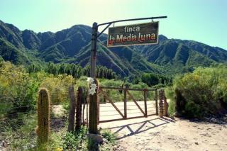 Finca La Media Luna - San Agustín de Valle Fértil - 1