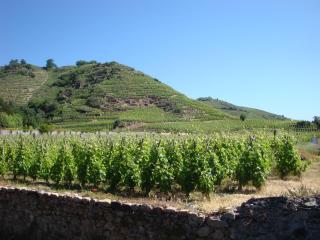 Le Berthoir - Pélussin - 6