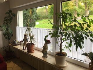 FeWo Dolores - Arnsberg - 5