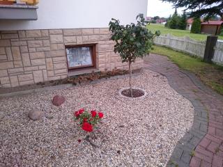 FEWO Brockenblick - Allrode - 4