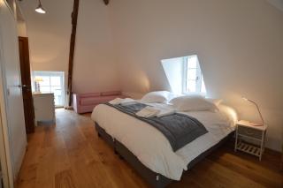 Chateau des Fontenelles - Chavagne - 6