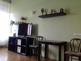 Studio along the Danube - Budapest - 1