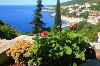 Apartments with parking space Zavalatica, Korcula - 9690 - 3