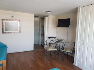 Pedro de Valdivia Apartment Providencia - 3