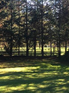 Sunburst Retreat - Eildon - 2