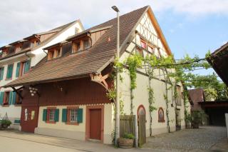 Bioweingut und Ferienwohnung Kaufmann - Efringen-Kirchen - 6