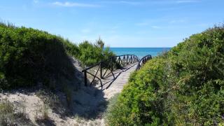 Camping Villaggio Riviera - Foce Varano - 0