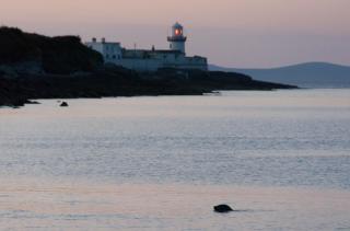 Boat House on the Beach - Valentia Island - 1