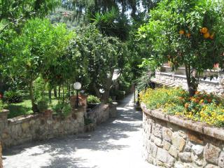 Agriturismo Il Convento - Massa Lubrense - 9