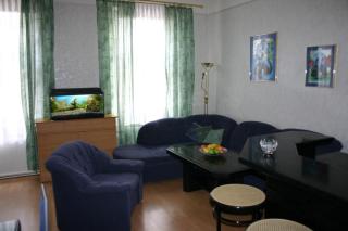 Apartment Gabriela - Vienna - 8
