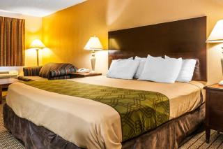 Econo Lodge Vincennes - Vincennes - 4