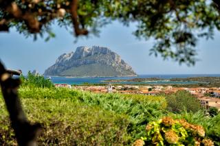 Residence L'Ea di Lavru - Appartamenti Mono-Bilo-Trilocali - Loiri Porto San Paolo - 9