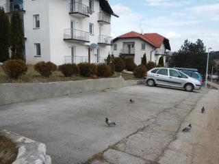 Harmonija Zlatibor Apartment - Zlatibor - 4