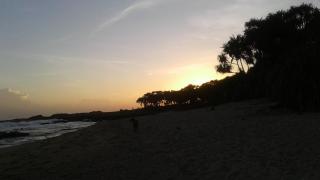 Turtle Watch Cabana - 6