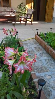Apartmani Rukonić Aleksandar - Nerezine - 0